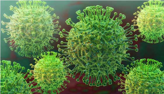 How to Avoid the Coronavirus